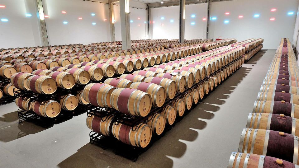Borba: Winery Tours and Amphora Wine Tasting - Frequently Asked Questions