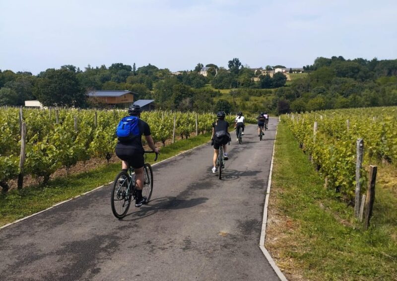 Bordeaux by Gravel Bike : Historic Center & Vineyards - Key Points
