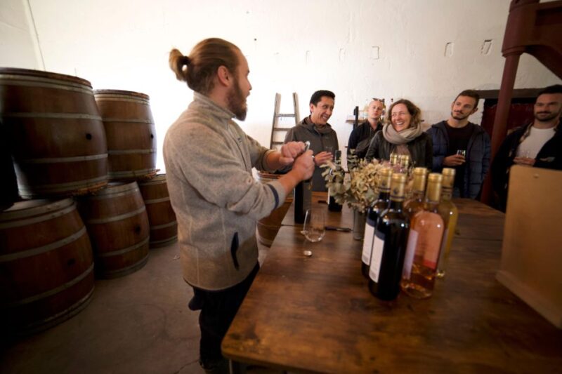 Bordeaux : Full Day Wine Tastings & Lunch - Experience Highlights