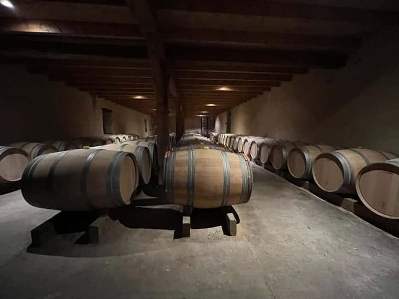 Bordeaux: Graves, Pessac-Léognan, and Sauternes Vineyards - Key Points