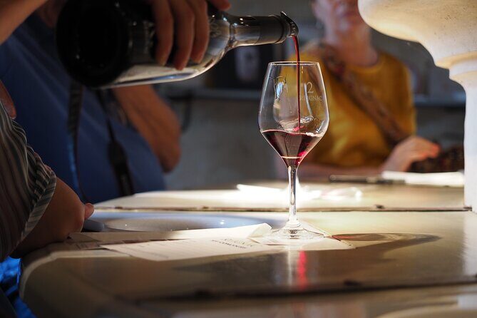 Bordeaux in a Day City and Chateau Visit Shared Walking Tour - An Introduction to Bordeaux in a Day