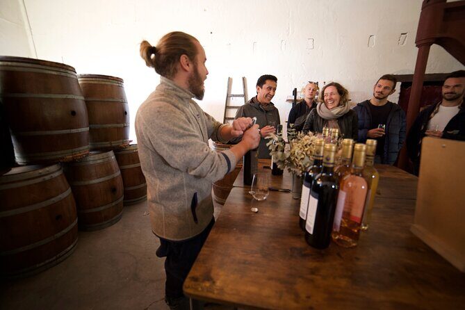 Bordeaux in a Day City and Chateau Visit Shared Walking Tour - The Itinerary in Detail