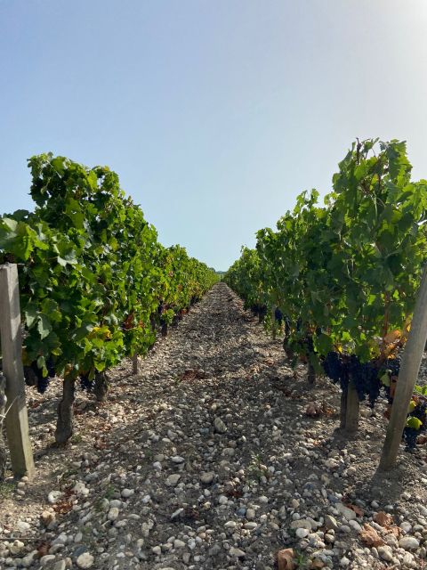 Bordeaux Margaux Wine Tour - Frequently Asked Questions
