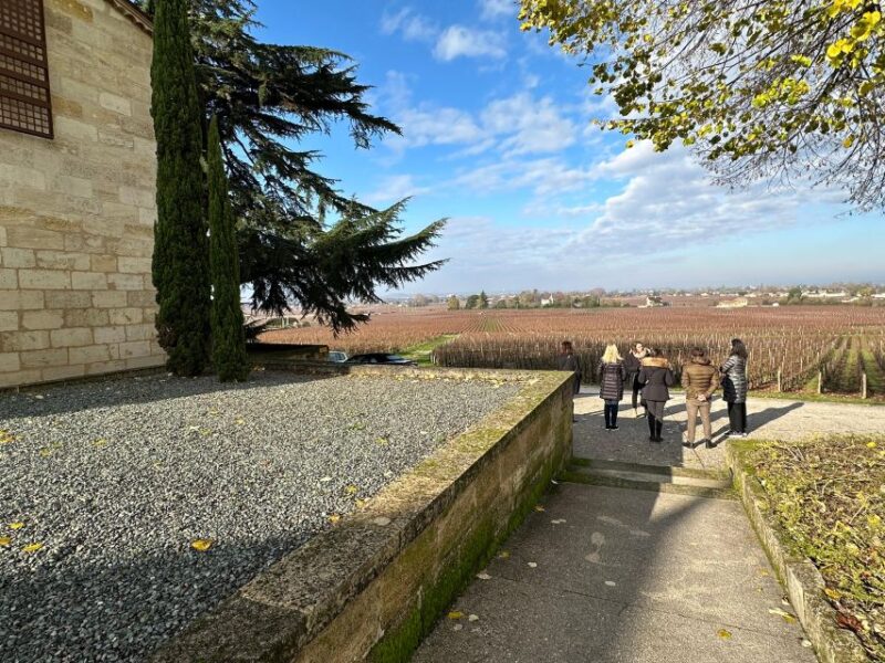 Bordeaux: Saint-Émilion Wine Tour in a Small Group - Itinerary and Activities