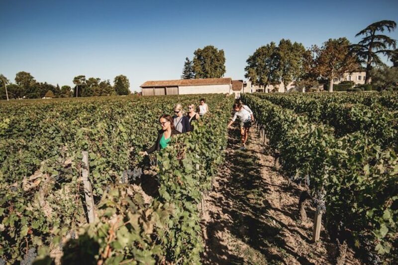 Bordeaux: St-Emilion and Medoc Wine Day Tour With Lunch - Frequently Asked Questions