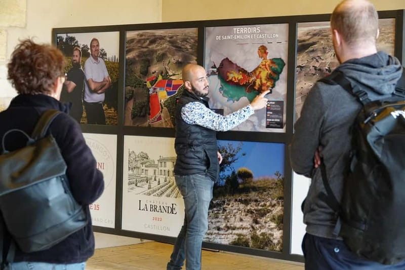 Bordeaux: St. Emilion Wine and E-Bike Tour with Lunch - Key Points
