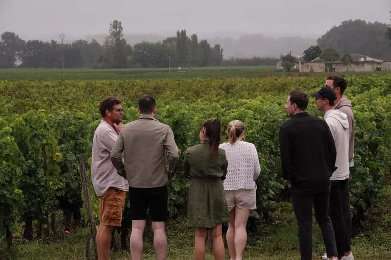 Bordeaux: St. Emilion Wine and E-Bike Tour with Lunch - An In-Depth Look at the Tour 