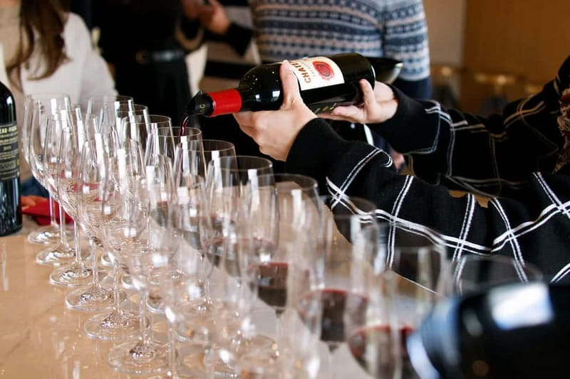 Bordeaux: St. Emilion Wine Tour with Private Shore Excursion - An In-Depth Look at the Bordeaux Saint-Emilion Shore Experience