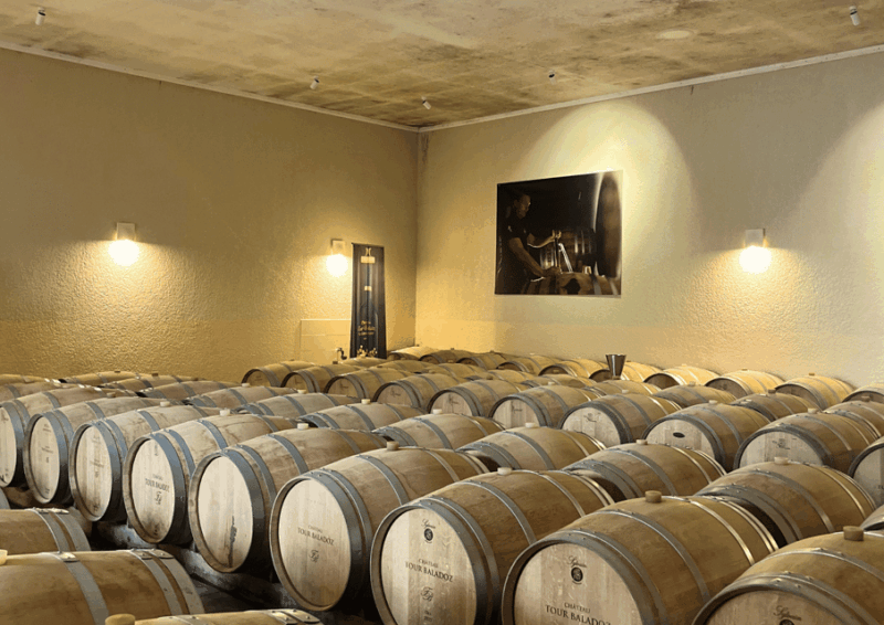Bordeaux: Unforgettable Saint Emilion Half Day Wine Tour - Itinerary Highlights