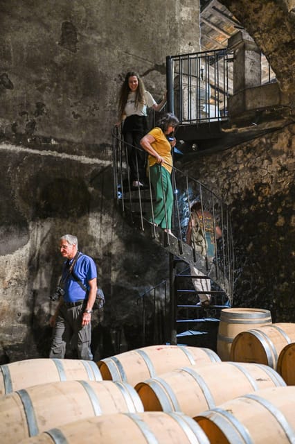 Bordeaux: Vineyards Wine Tasting Half-Day Trip - Key Points