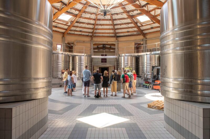 Bordeaux: Vineyards Wine Tasting Half-Day Trip - Itinerary and Destinations