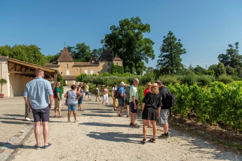 Bordeaux: Vineyards Wine Tasting Half-Day Trip - Exploring Bordeauxs Wine Regions