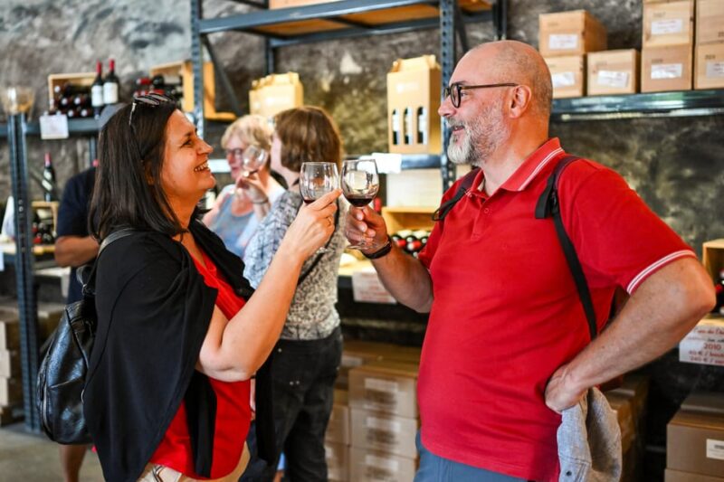 Bordeaux: Vineyards Wine Tasting Half-Day Trip - Taking in Charming Villages and Vineyards