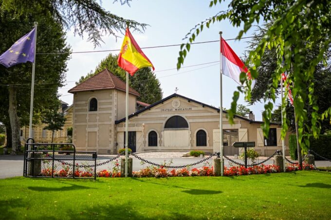Bordeaux: Vineyards Wine Tasting Half-Day Trip - Expert-Guided Tours and Tastings