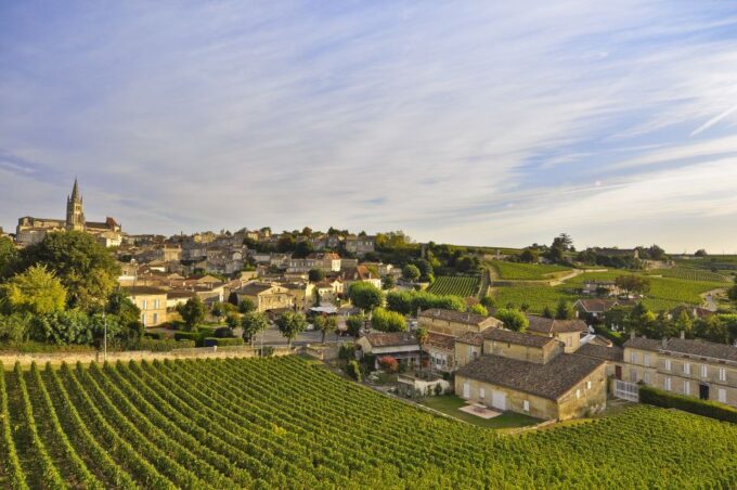 Bordeaux: Vineyards Wine Tasting Half-Day Trip - Customer Experiences and Reviews