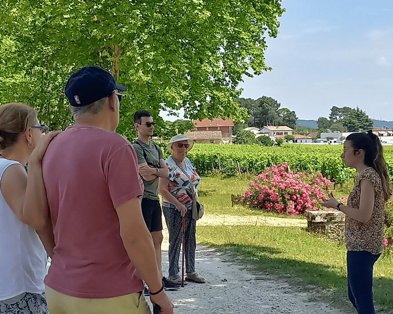 Bordeaux wine tour: 2 wineries & wine tastings (red & white) - Starting with a Classic Bordeaux Meet-up