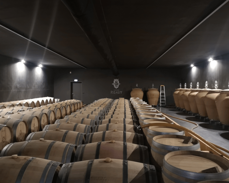 Bordeaux wine tour: 2 wineries & wine tastings (red & white) - The Practicalities: What You Need to Know