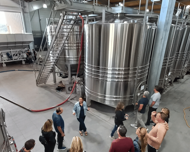 Bordeaux wine tour: 2 wineries & wine tastings (red & white) - Addressing the Reviewer Feedback