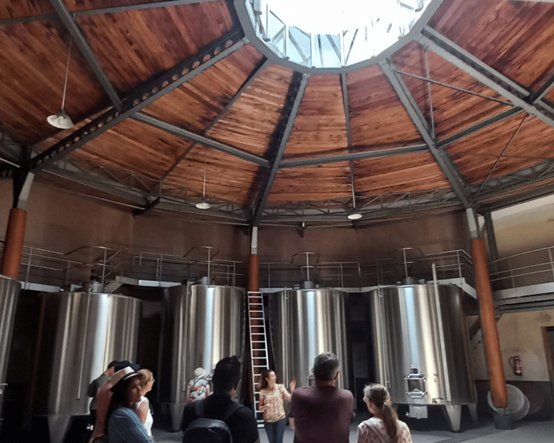 Bordeaux Wine Tour: 2 Wineries & Wine Tastings (Red & White) - Important Information