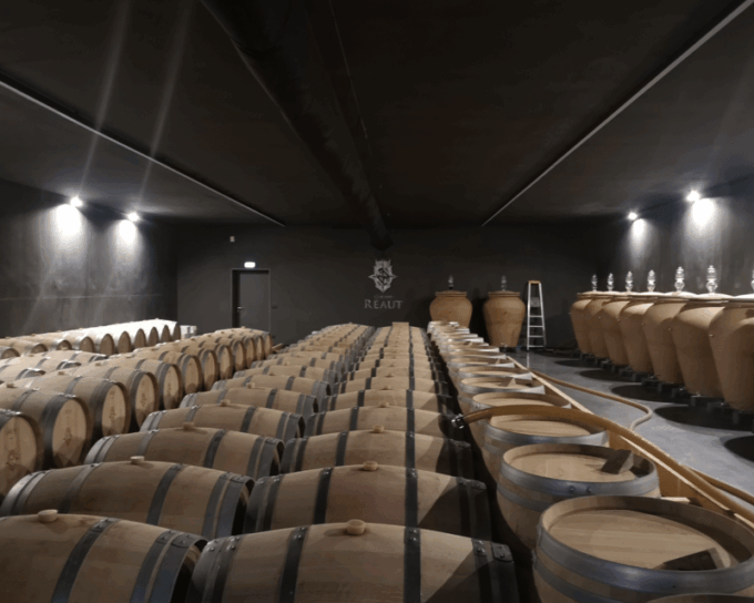 Bordeaux Wine Tour: 2 Wineries & Wine Tastings (Red & White) - Discovering the Second Winery