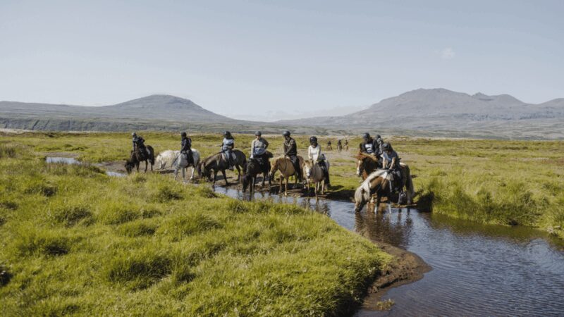 Borgarnes: Horseback Riding Tour with Prep Lesson - The Itinerary: What to Expect on Your Horseback Adventure