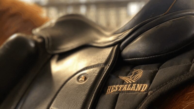 Borgarnes: Horseback Riding Tour with Prep Lesson - How This Experience Fits into Your Iceland Trip