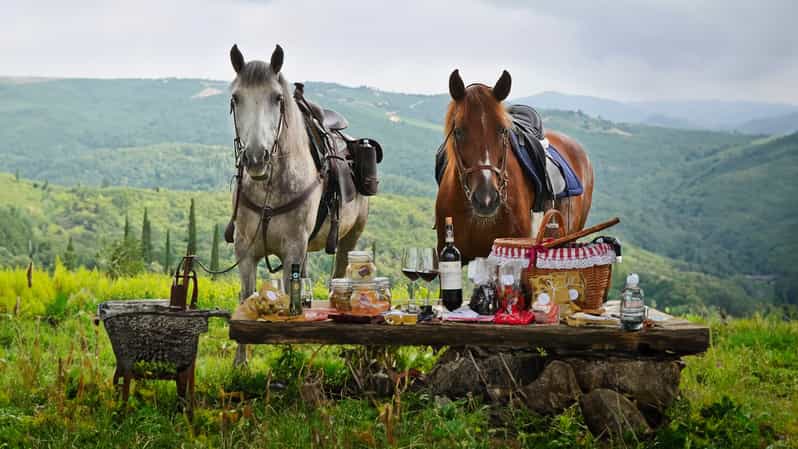 Borgo Cignano: Wine and Horses - Key Points