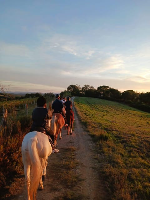 Borgo Cignano: Wine and Horses - Booking Information