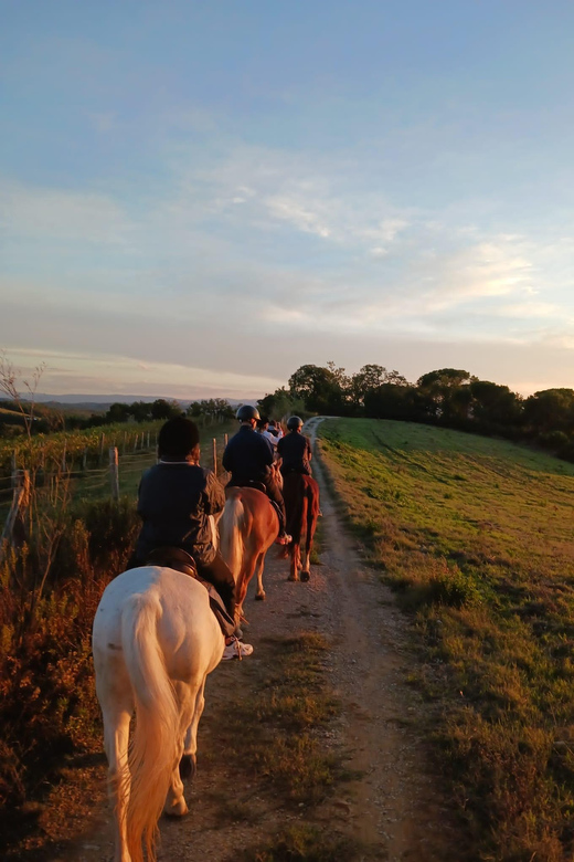 Borgo Cignano: Wine and Horses - Cancellation Policy
