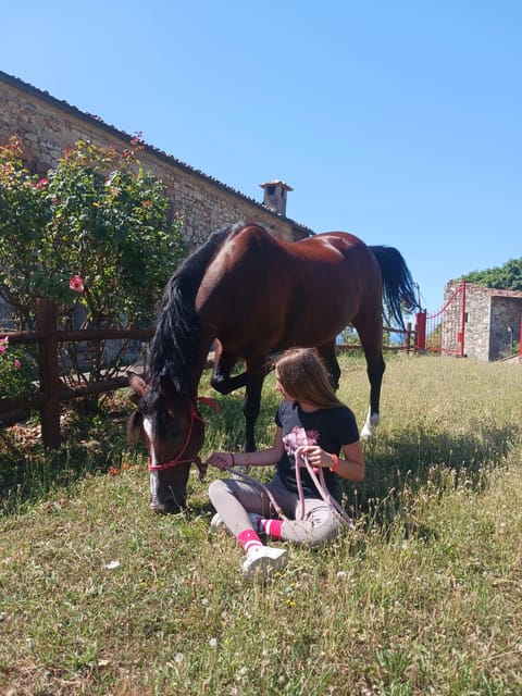 Borgo Cignano: Wine and Horses - Experience Highlights