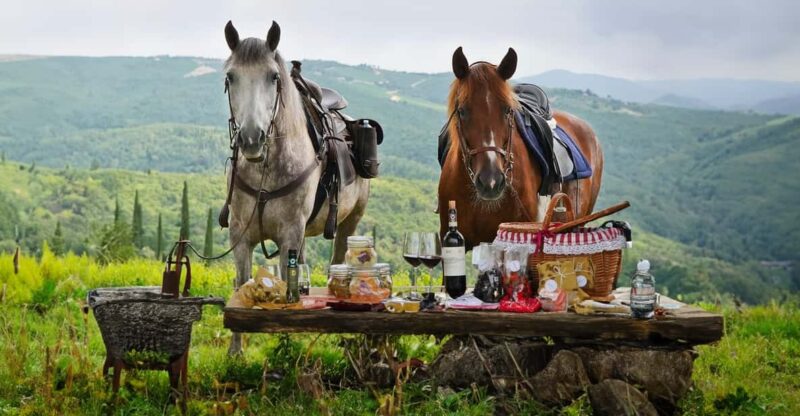 Borgo Cignano: Wine and Horses - Participation Restrictions