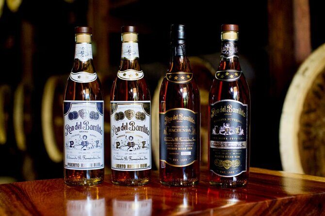 Boriken Flavor: Roast Pork Hwy, Rum Tasting, Loiza Fritters - The Experience: What Makes It Special