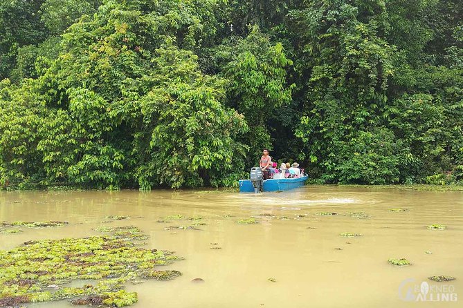 Borneo Kinabatangan River Cruise Day Trip - Customer Reviews and Ratings