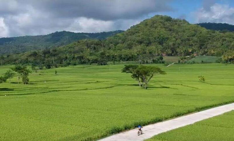 Borobudur & Exploring Mountain - Borobudur & Exploring Mountain: A Motorcycle Adventure Through Java’s Countryside