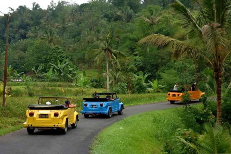 Borobudur: Private Volkswagen Thing Countryside Safari - Borobudur: Private Volkswagen Thing Countryside Safari — A Fun, Flexible Way to Discover Local Life