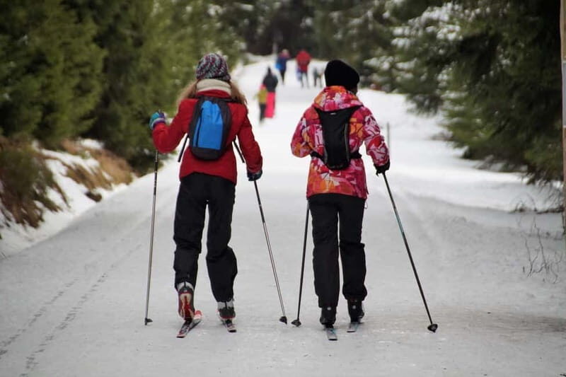 Borovets: 2-Hour Cross Country Ski Taster with Instructor - The Practice and Beyond