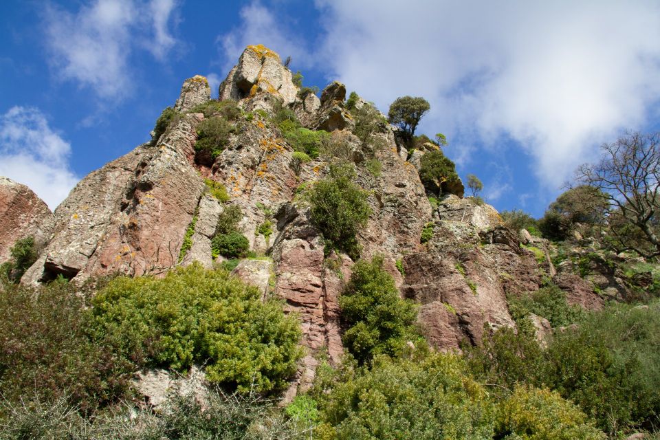 Bosa: Coast and Country Guided Quad Bike Tour - Charming Nature of Bosa Territory