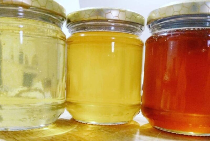 Bosa: discover the products of the beehive - Exploring Bosa: Discover the Products of the Beehive — A Hands-On Sardinian Experience