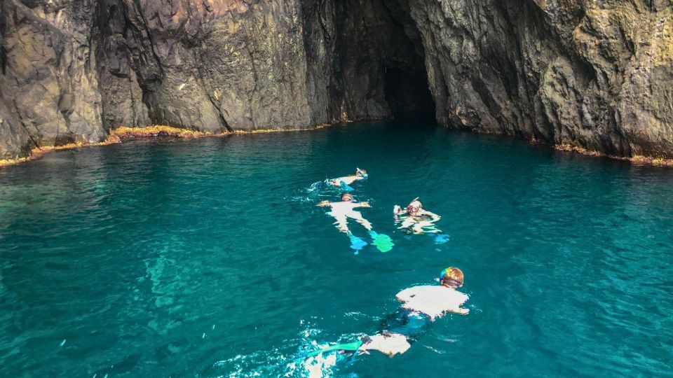 Bosa: Snorkeling Tour of the Coastline Coves - Wildlife Observations