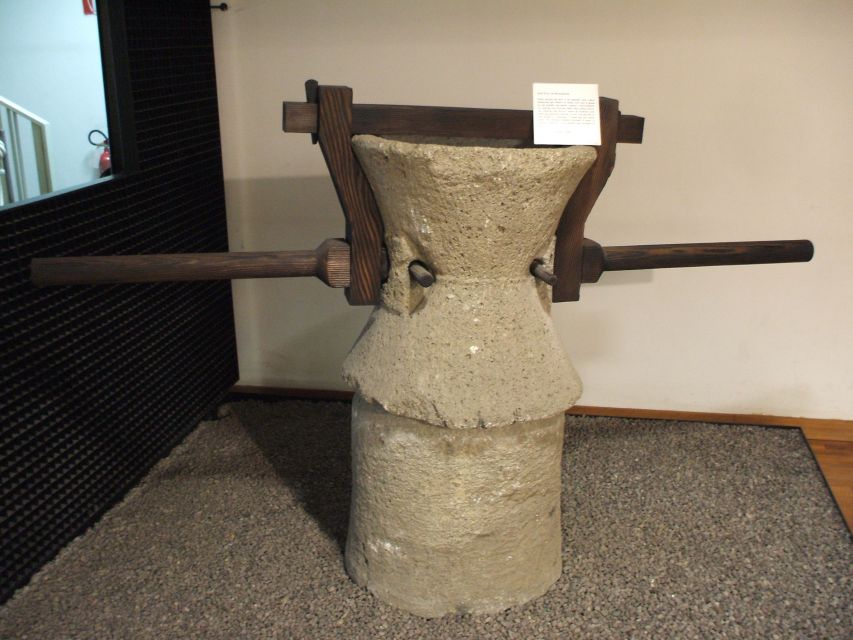 Boscoreale: Antiquarium & Villa Regina Private Tour - Focus on Human-Environment Relationship