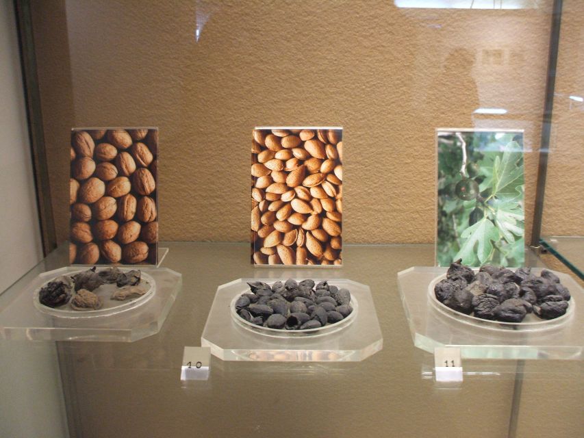 Boscoreale: Antiquarium & Villa Regina Private Tour - Ticket and Guide Inclusions