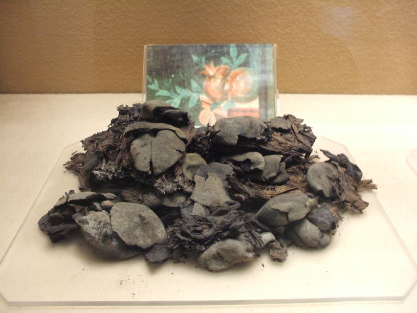 Boscoreale: Antiquarium & Villa Regina Private Tour - Tour Duration and Languages