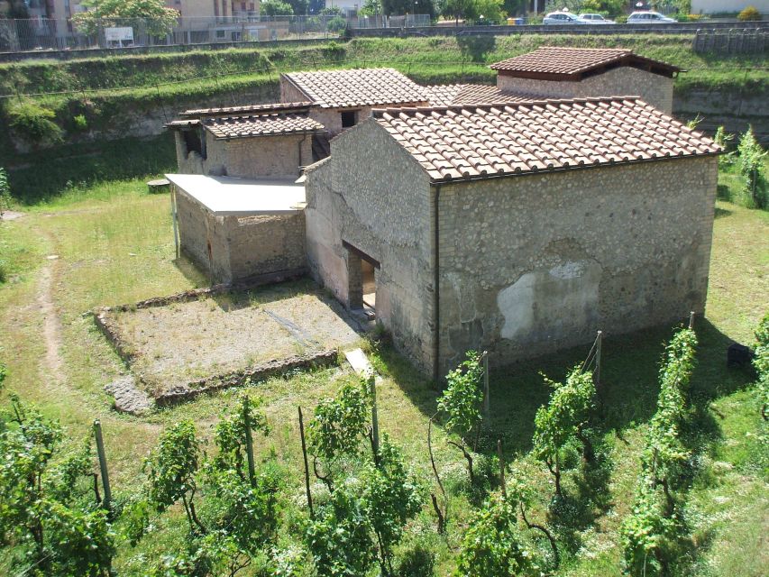 Boscoreale: Antiquarium & Villa Regina Private Tour - Frequently Asked Questions