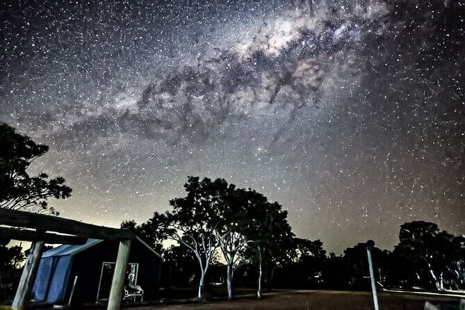 Boshack Farm - Animal, Wildlife, Stargazing Nature Aussie culture - An In-Depth Look at the Boshack Farm Experience