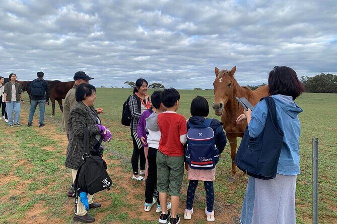 Boshack Farm - Animal, Wildlife, Stargazing Nature Aussie culture - Water Activities and Scenic Relaxation