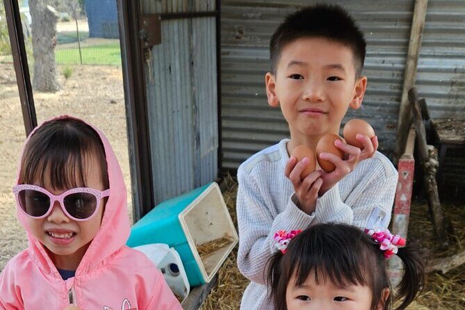 Boshack Farm - Animal, Wildlife, Stargazing Nature Aussie culture - Extra Details and Practicalities