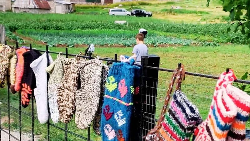 Bosnia's Nomad Havens: Lukomir & Umoljani - Who Should Consider This Tour?