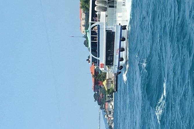 Bosphorus Cruise With Dolmabahçe Palace and Fortresses - Dolmabahçe Palace Visit