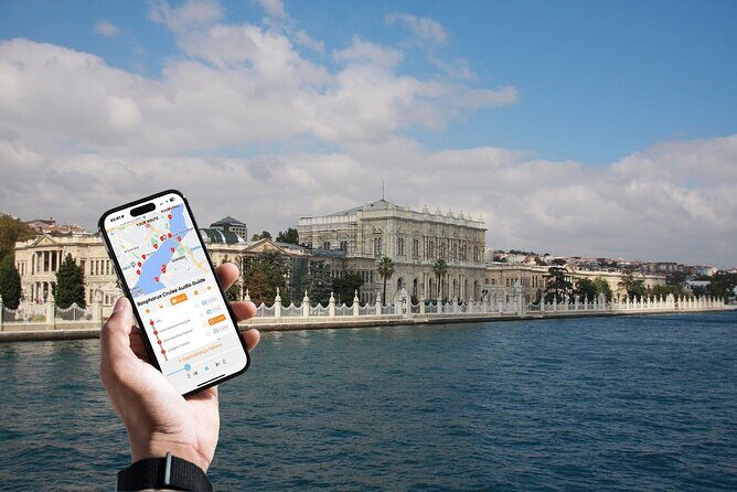 Bosphorus Daytime or Sunset Sightseeing Cruise & Audio Guide - An In-Depth Look at the Experience