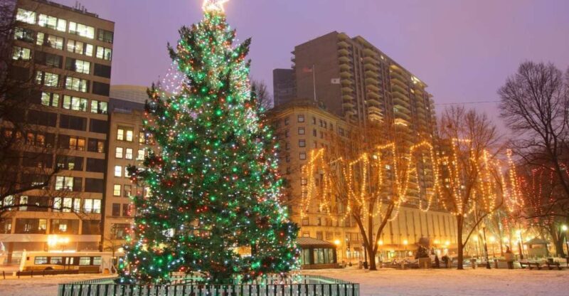 Boston: A Bostonian Christmas Private Tour - An Authentic Holiday Stroll Through Bostons Historic Heart